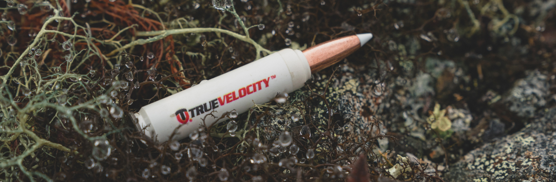 True Velcoity Case Study